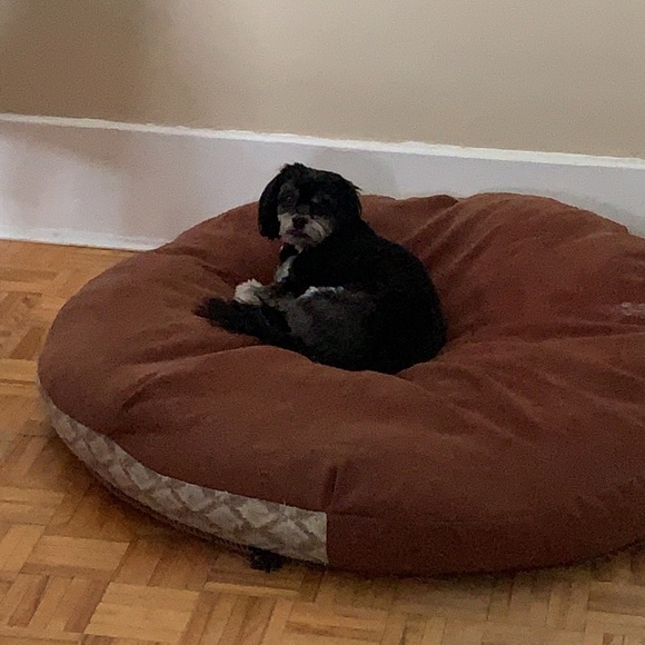 Meet your Posher, Phyllis - Picture 1 of 1